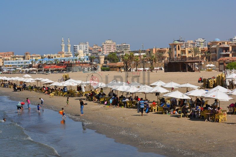 DSC_0192_copy_800x534_1