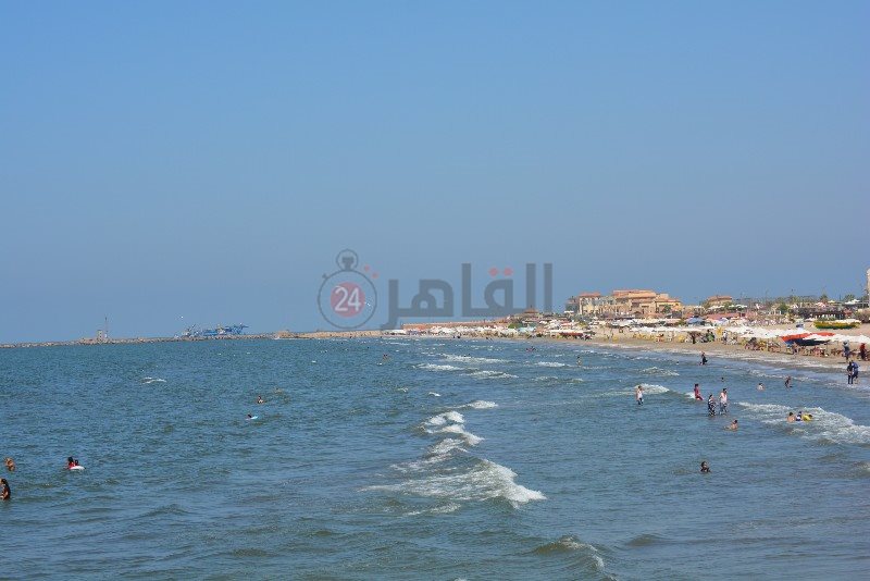 DSC_0194_copy_800x534_1