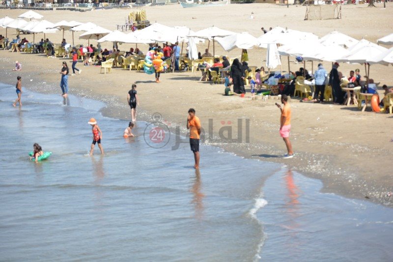 DSC_0198_copy_800x534