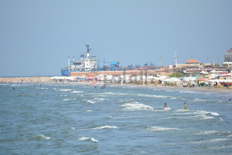 DSC_0201_copy_800x534