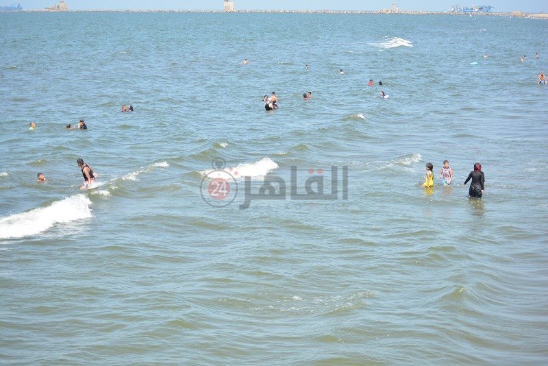 DSC_0202_copy_800x534