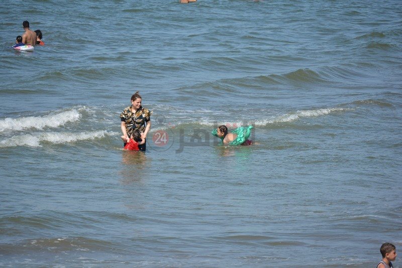 DSC_0206_copy_800x534