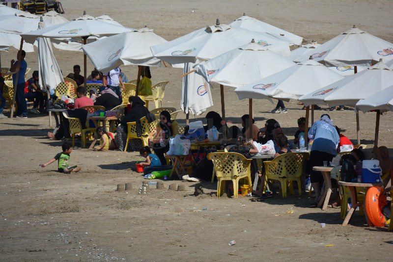 DSC_0211_copy_800x534