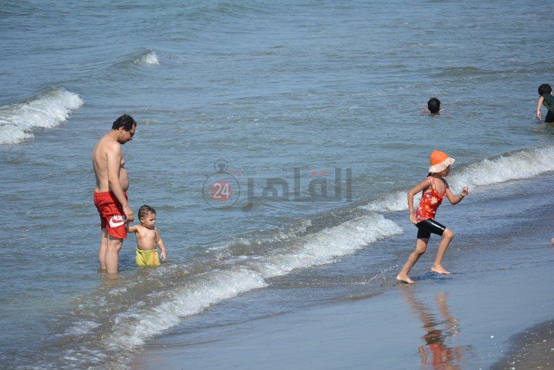 DSC_0205_copy_800x534