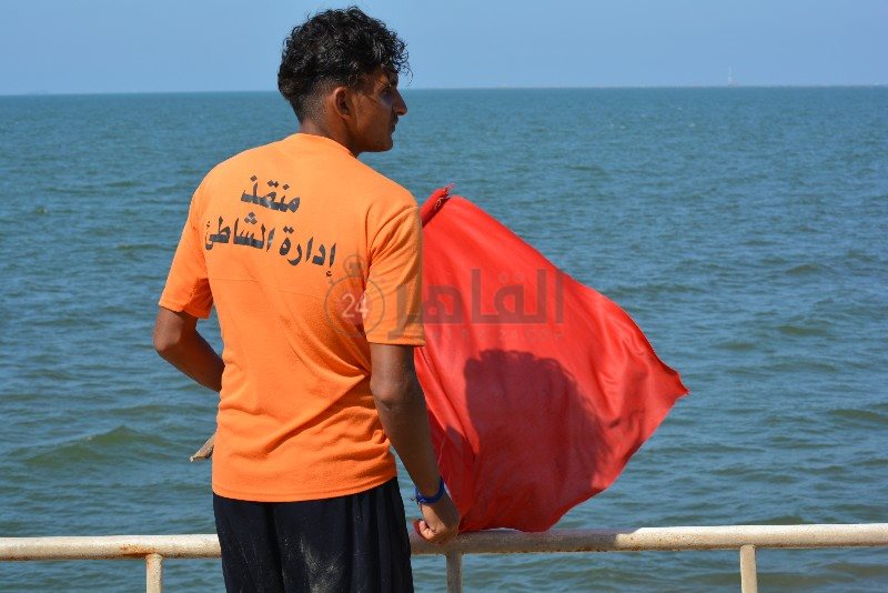 DSC_0213_copy_800x534