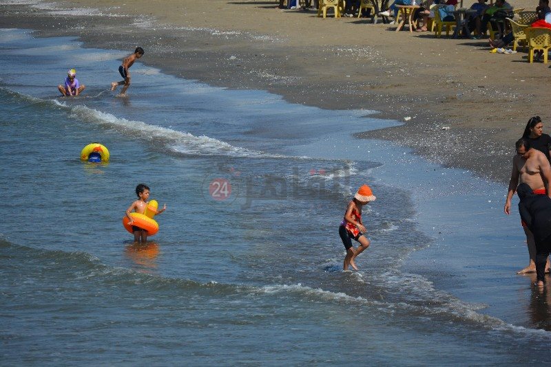 DSC_0216_copy_800x534