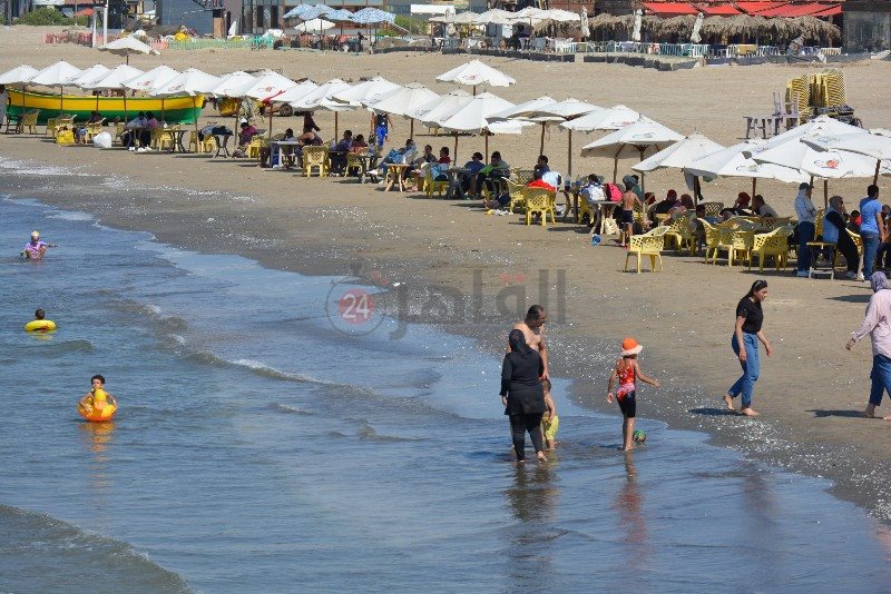 DSC_0217_copy_800x534