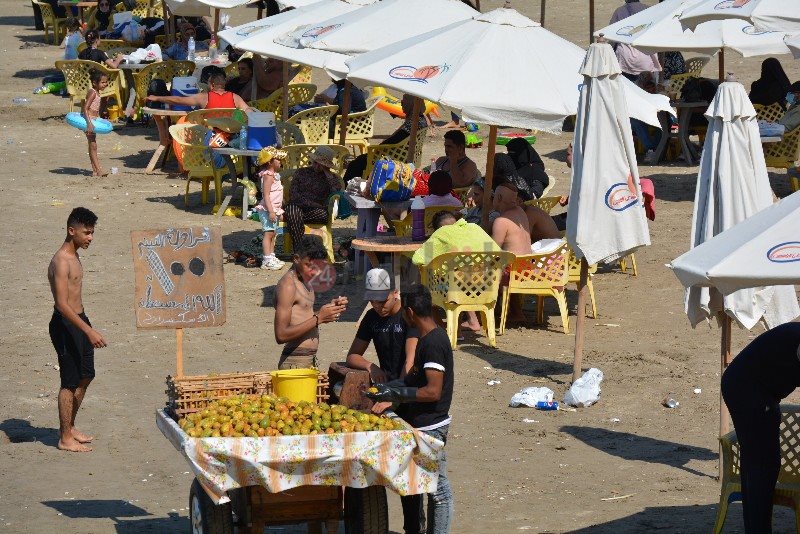 DSC_0221_copy_800x534