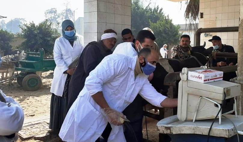 المشروع القومي للتحسين الوراثي لتحسين السلالات المصرية 02