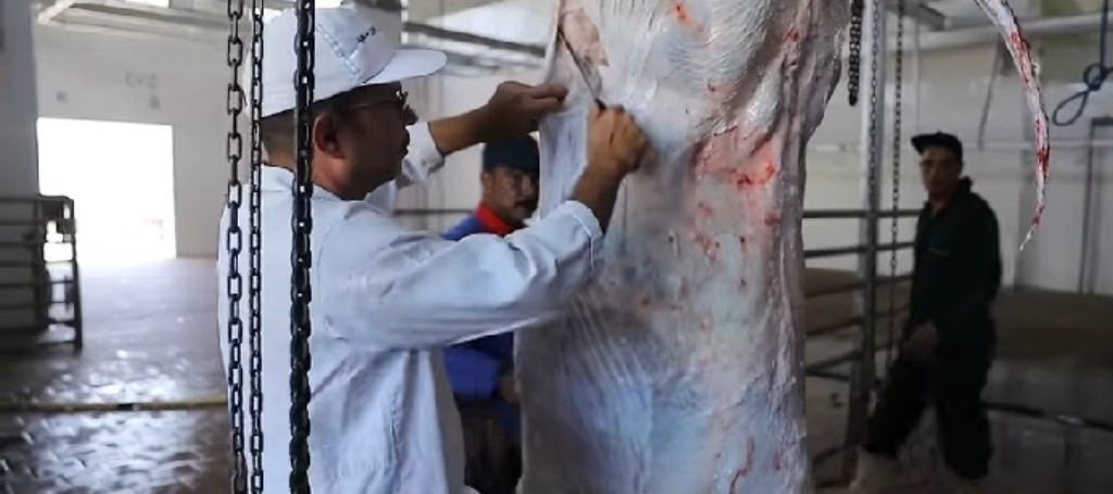 1594780516989_Screenshot_٢٠١٩٠٧٢٢-٢٠٠٣٢٣_Facebook-01-1024x455 (1)