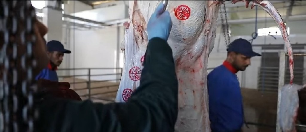 Screenshot_٢٠١٩٠٧٢٢-٢٠٠٣٢٦_Facebook-01-1024x442 (1)