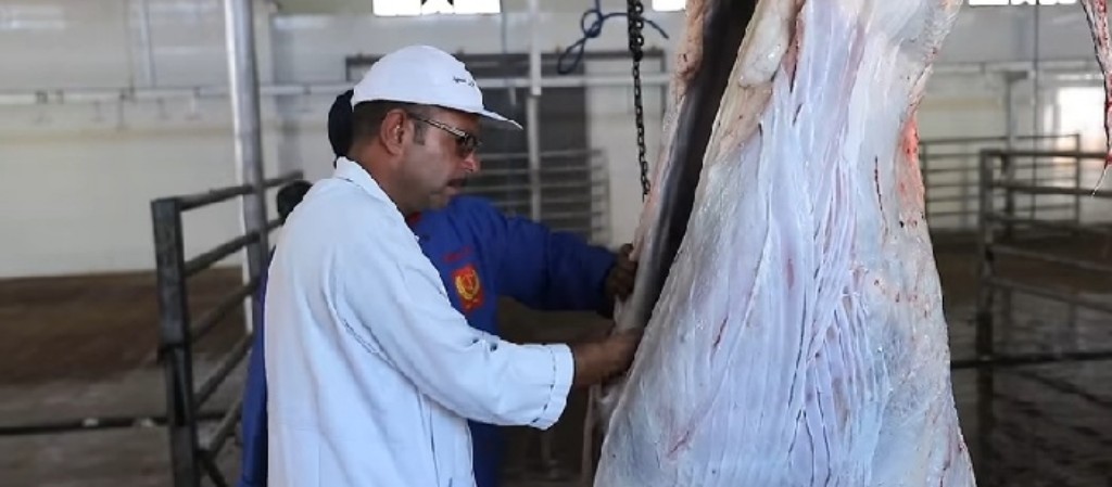 Screenshot_٢٠١٩٠٧٢٢-٢٠٠٣٢٠_Facebook-01-1024x449 (1)