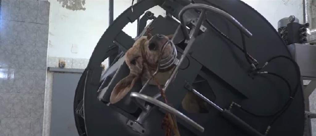 Screenshot_٢٠١٩٠٧٢٢-٢٠٠٣١٦_Facebook-01-1024x440 (1)