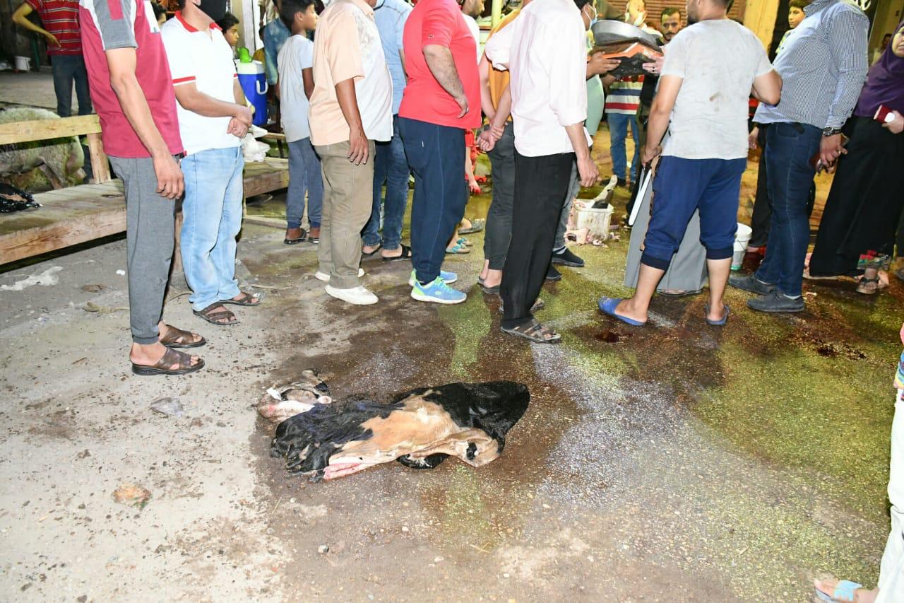 إزالة سرادقين لذبح وعرض اللحوم بالطريق العام في الفيوم