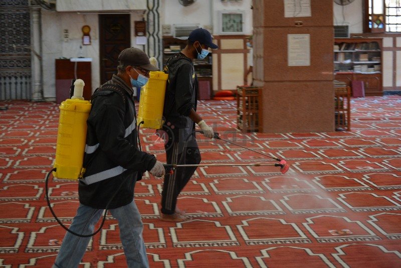 DSC_0225_copy_800x534