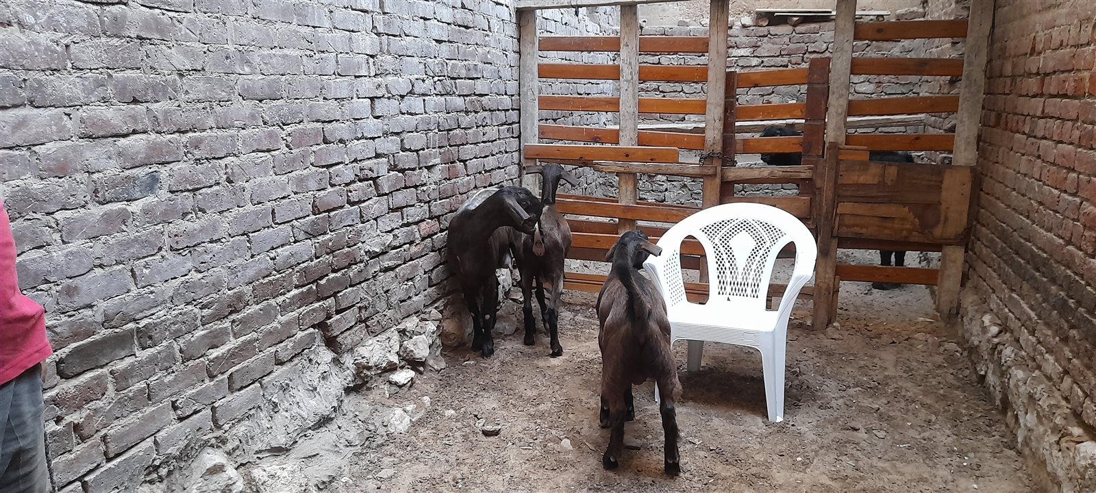 ٢٠٢١٠٧١٩_١٦٥٩٤٨