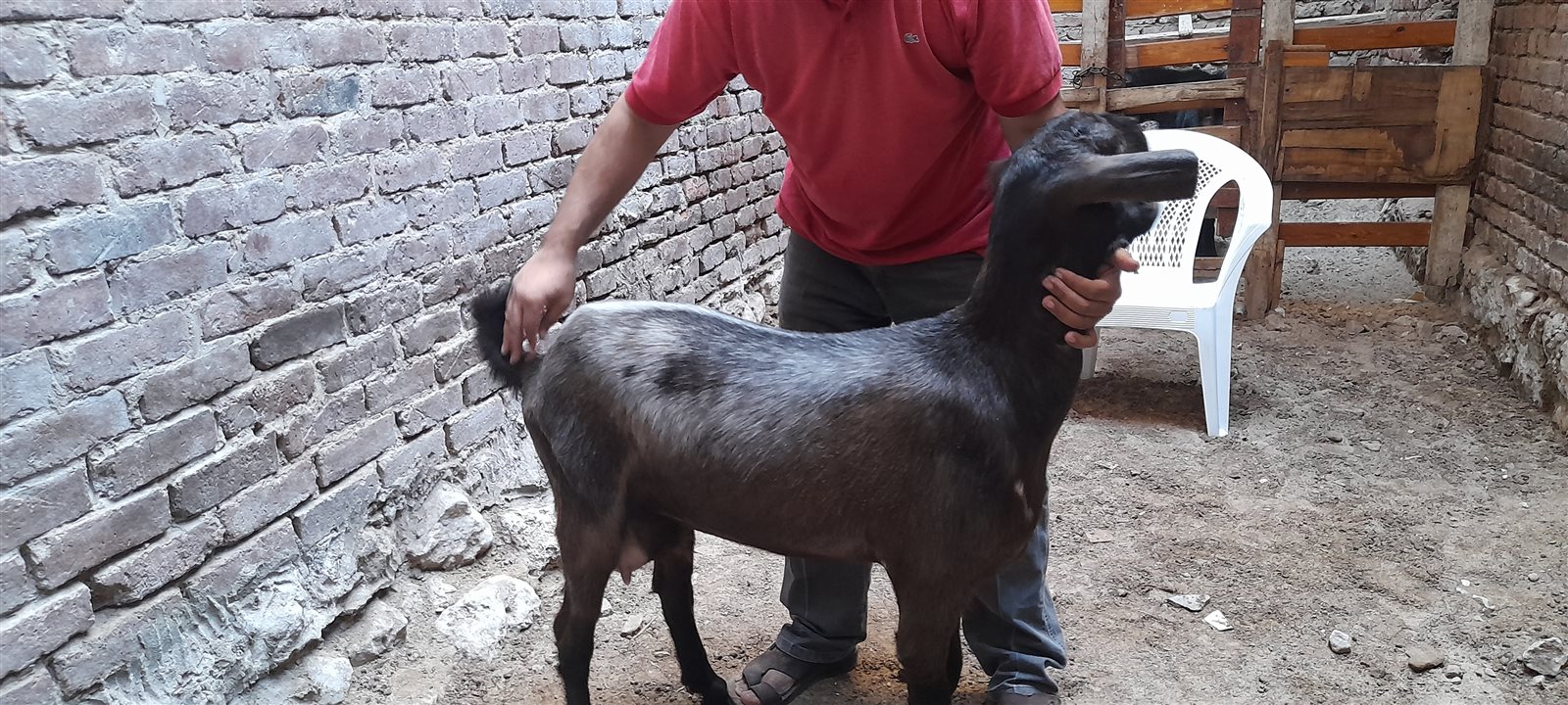 ٢٠٢١٠٧١٩_١٦٥٨٠٨