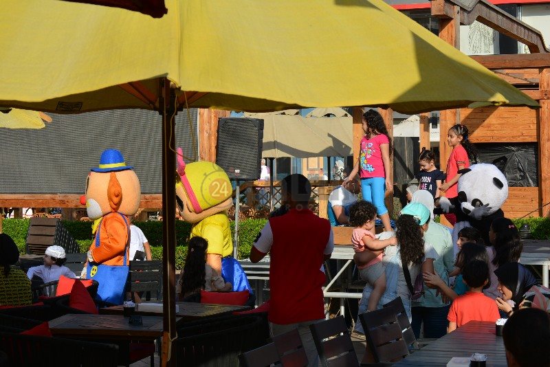 DSC_0259_copy_800x534