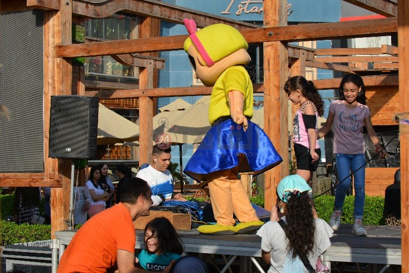 DSC_0253_copy_800x534