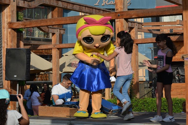 DSC_0255_copy_800x534