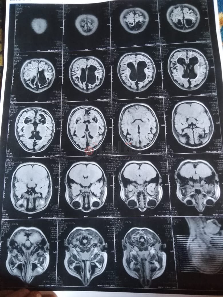 54b98700-427b-4b36-99e4-90c35a911c88