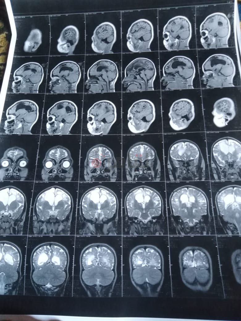 677d6b4b-e8e9-498f-8df3-a2b8b409d475