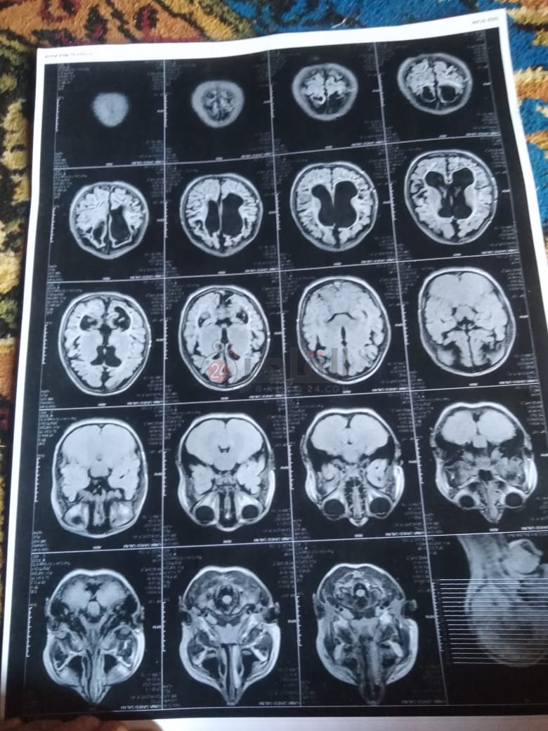 5943d031-3958-497f-9453-ec5aefa68c9f