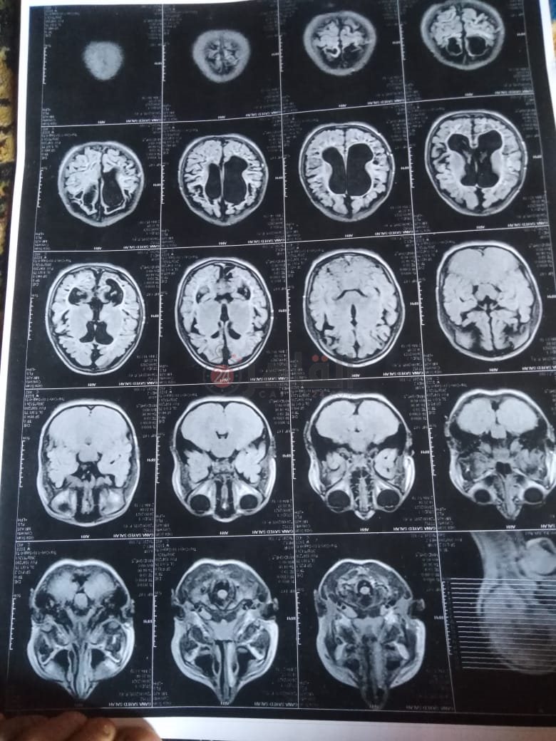 f4ffb995-9c6e-4639-ae11-1a02ae1ed260