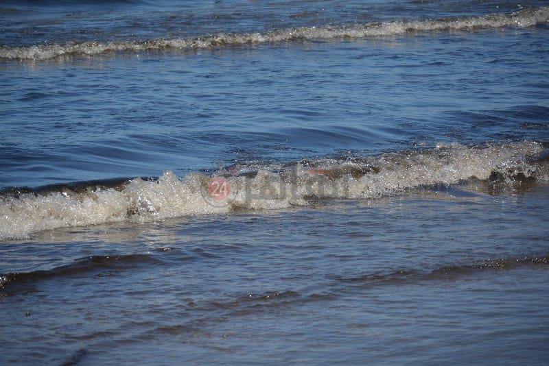 السواد يكسو مياه شاطئ بورسعيد