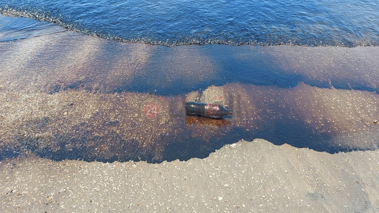 السواد يكسو مياه شاطئ بورسعيد