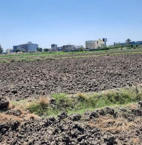 أهالي قرية كفر يوسف بمحافظة دمياط، يشتكون من تضررهم بسبب مد خطوط الغاز بالقرية