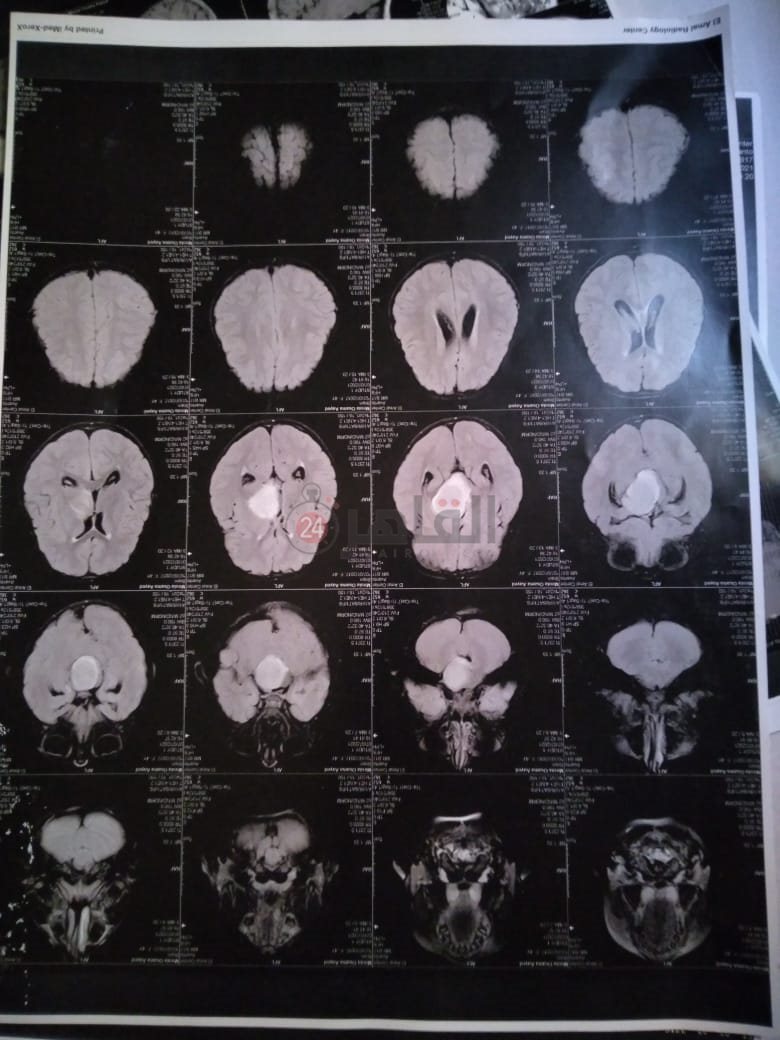 d8a2c86f-3529-430f-81b7-86b9ef6916af