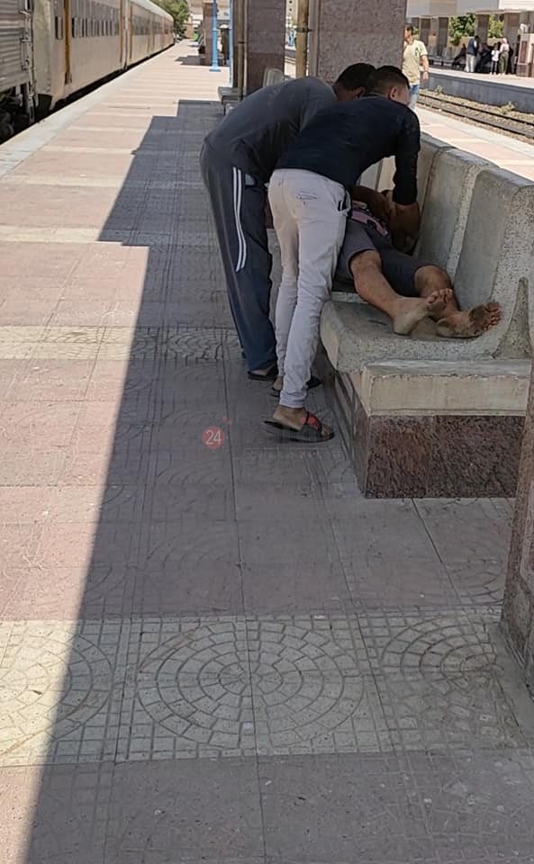 225541637_1809707179227835_4576175052380251486_n