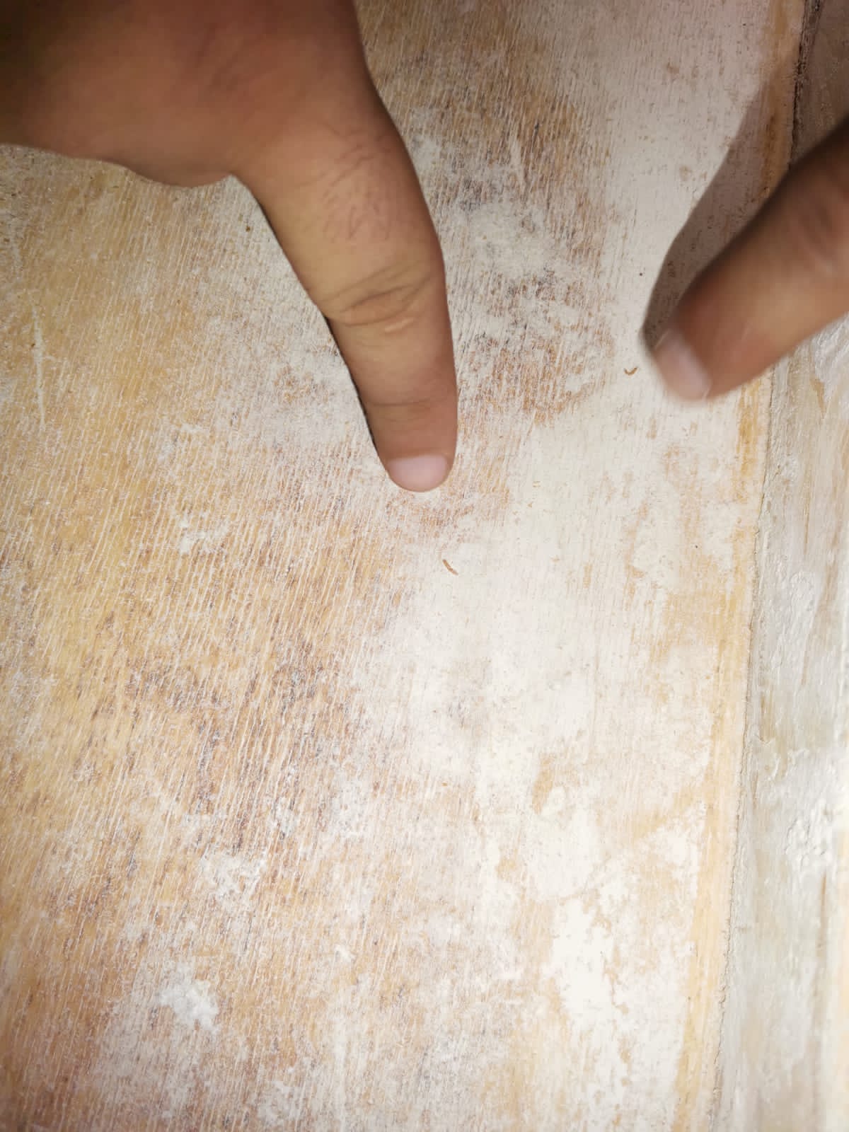 حملة تفتيشية على المخابز بالشرقية 04