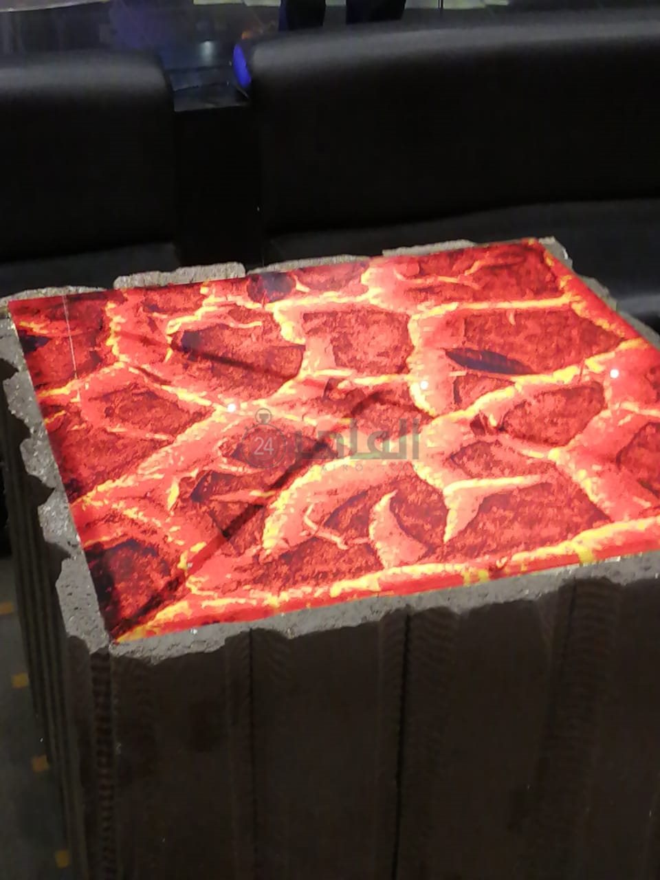 استعدادات العرض الخاص لفيلم الإنس والنمس (10)