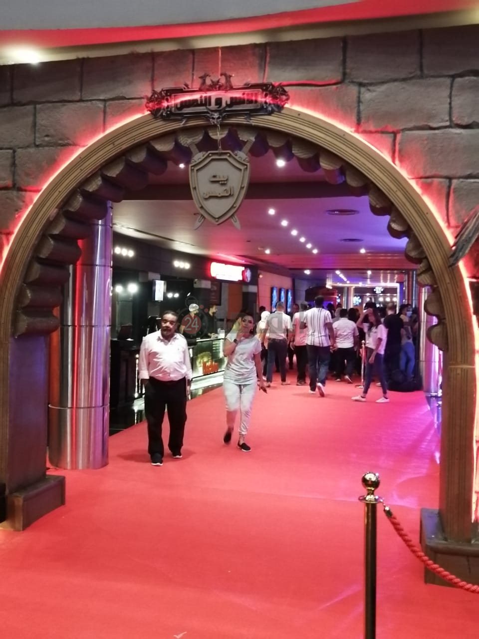 استعدادات العرض الخاص لفيلم الإنس والنمس (12)