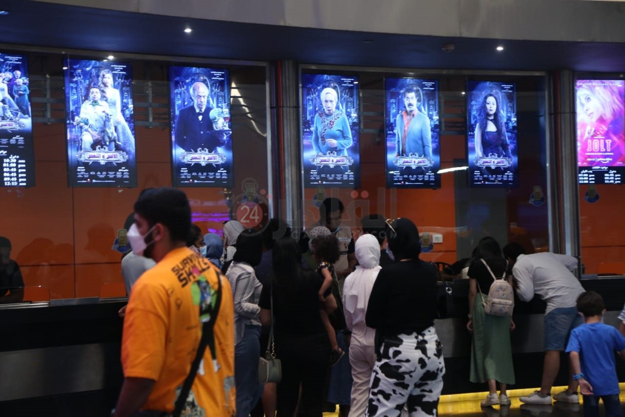 العرض الخاص لفيلم الإنس والنمس (17)