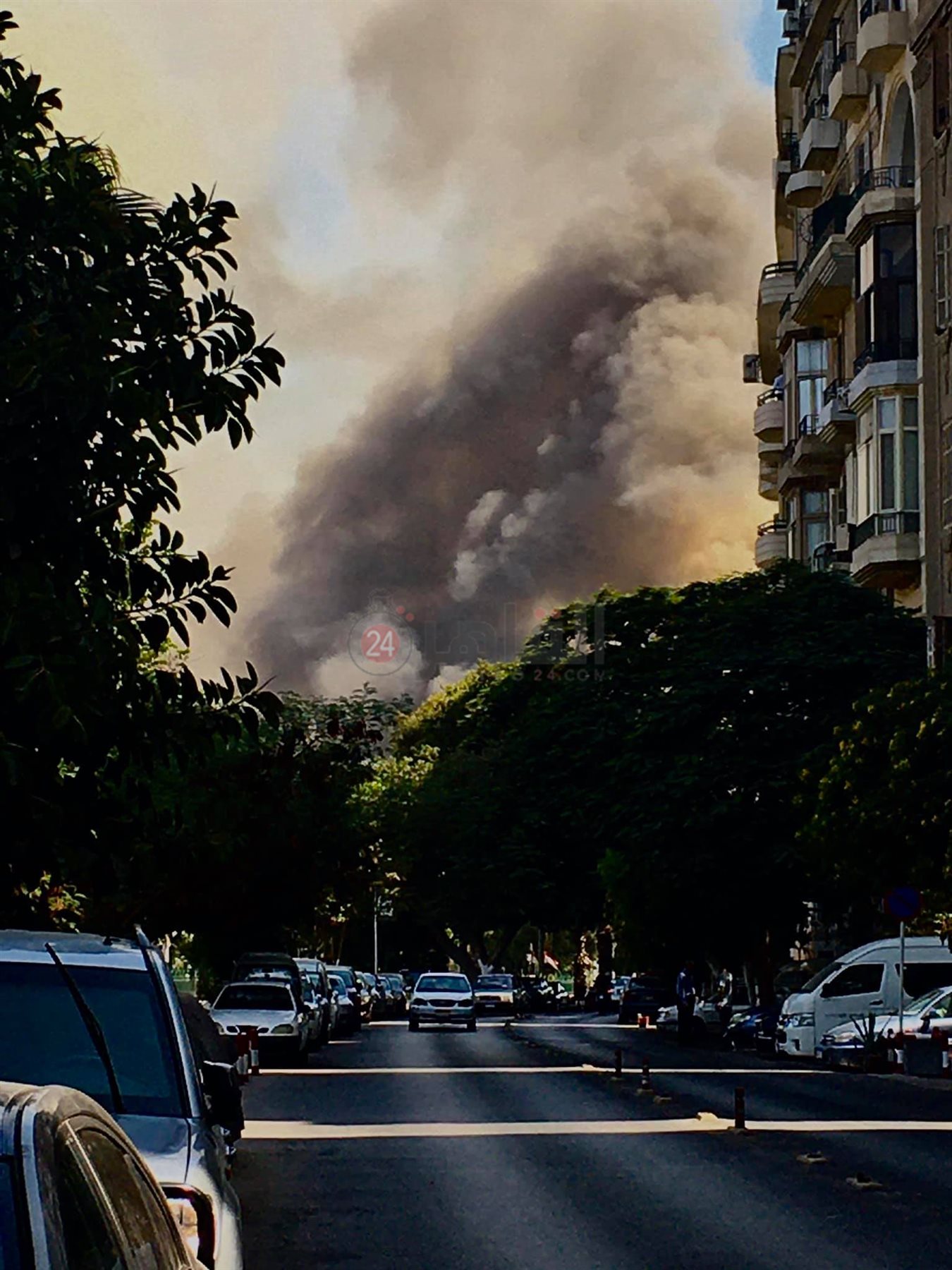 234055492_4092511190866793_7574817223298106021_n