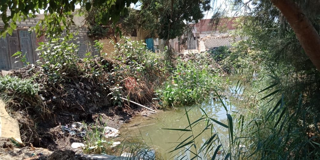 خليج الري مصدر أزمة لأهالي عزبة بالشرقية 04