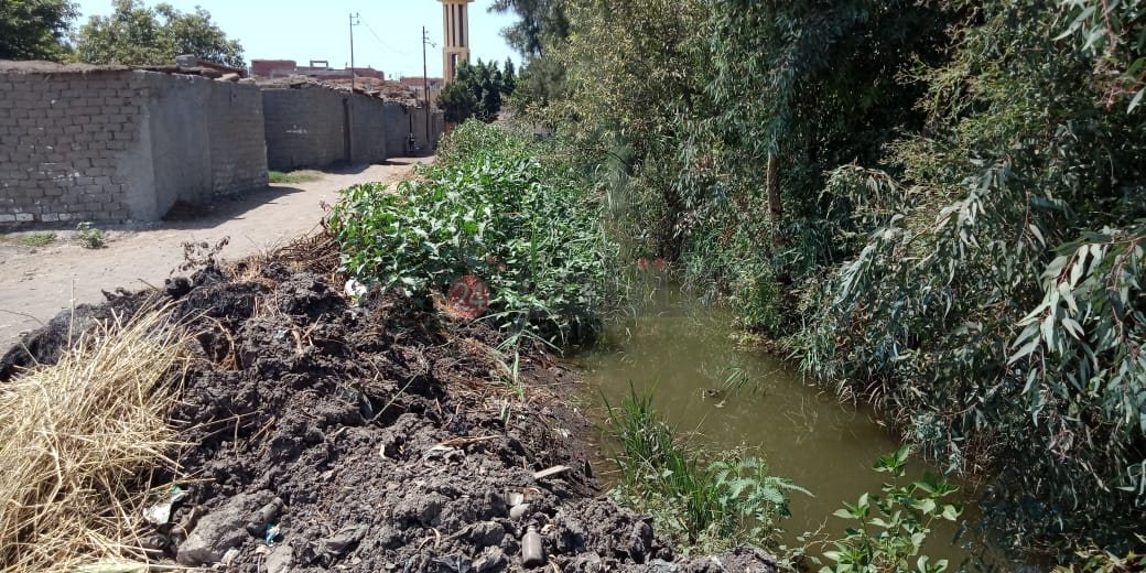 خليج الري مصدر أزمة لأهالي عزبة بالشرقية 06