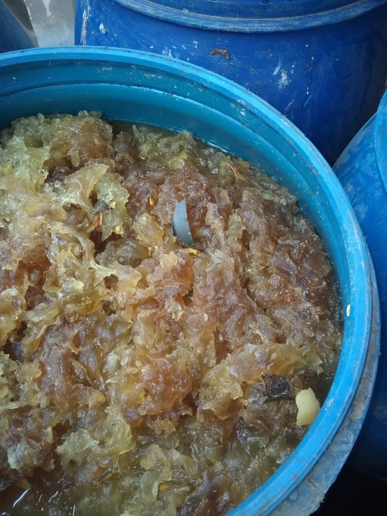 حملة تفتيشية على مصانع الأغذية بالشرقية 07