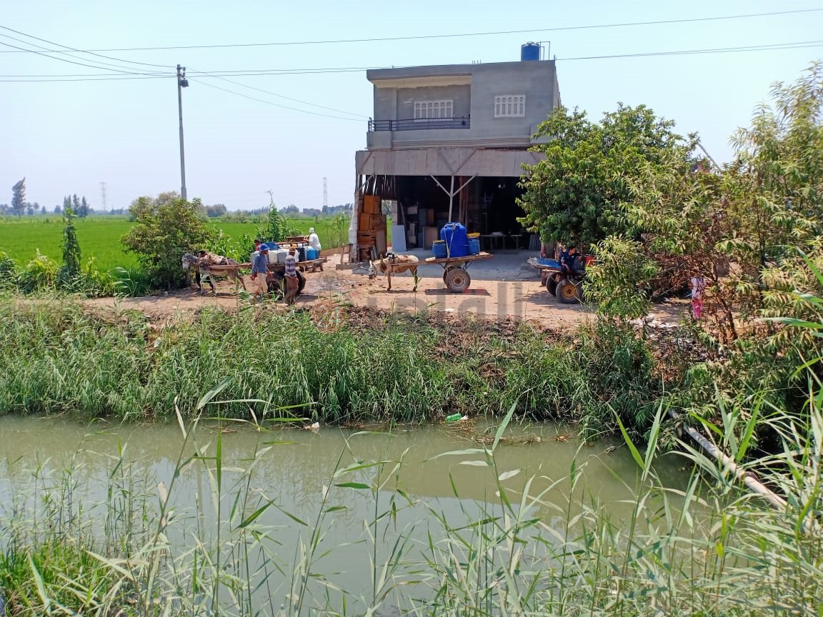 أزمة انقطاع المياه في أولاد صقر 05