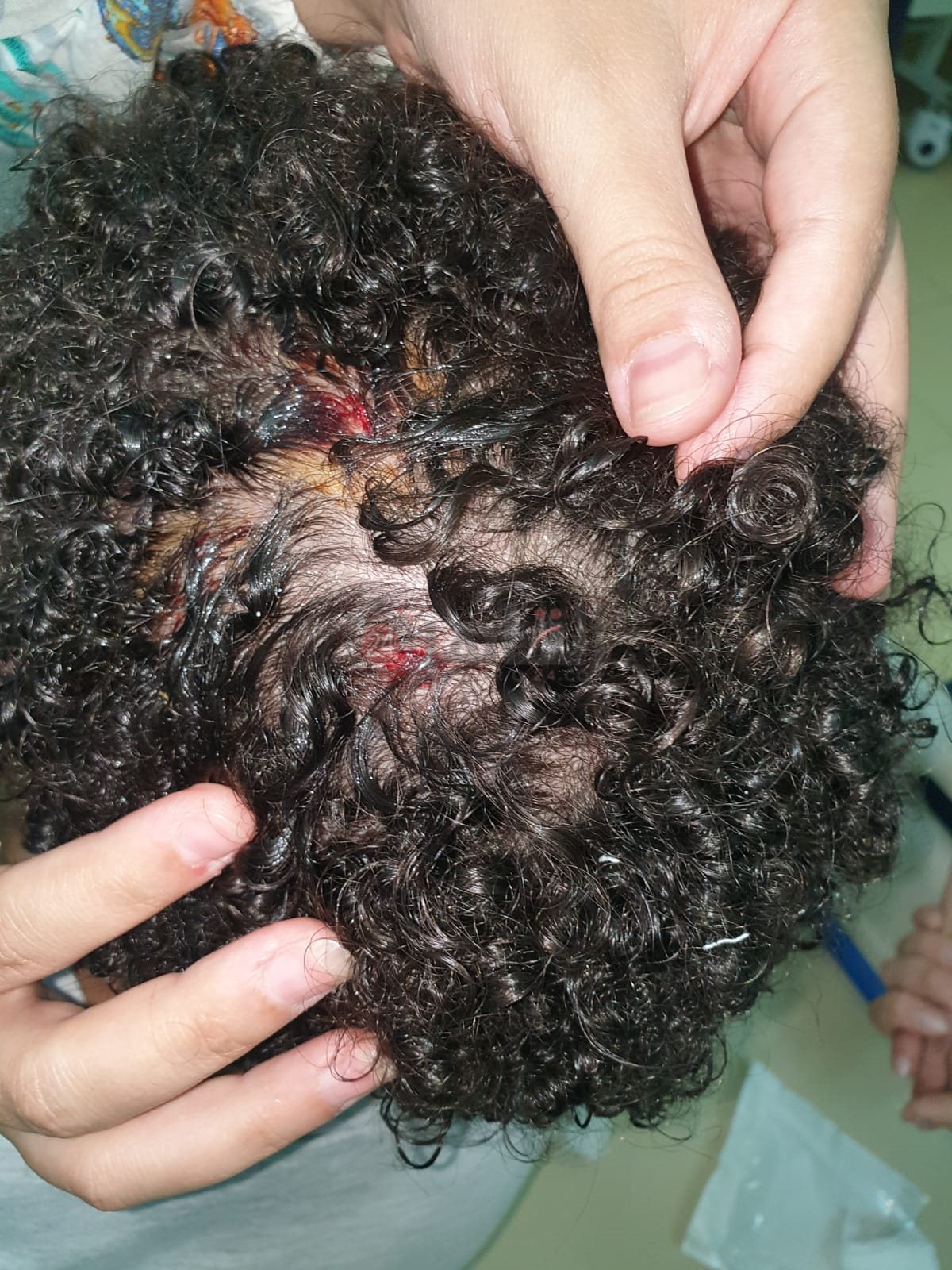 919d9826-0287-4a54-931c-91b7f5304041