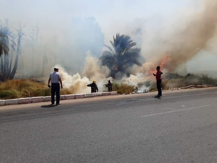 حريق بالأراضي الزراعية بأسوان 