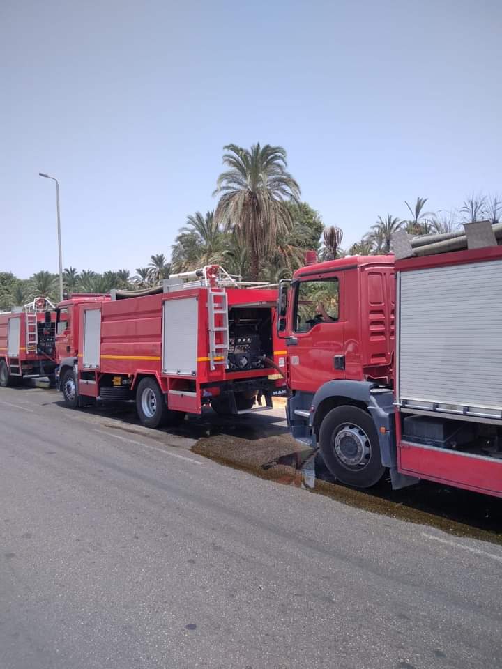 حريق بالأراضي الزراعية بأسوان 