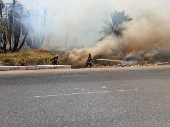 حريق بالأراضي الزراعية بأسوان 