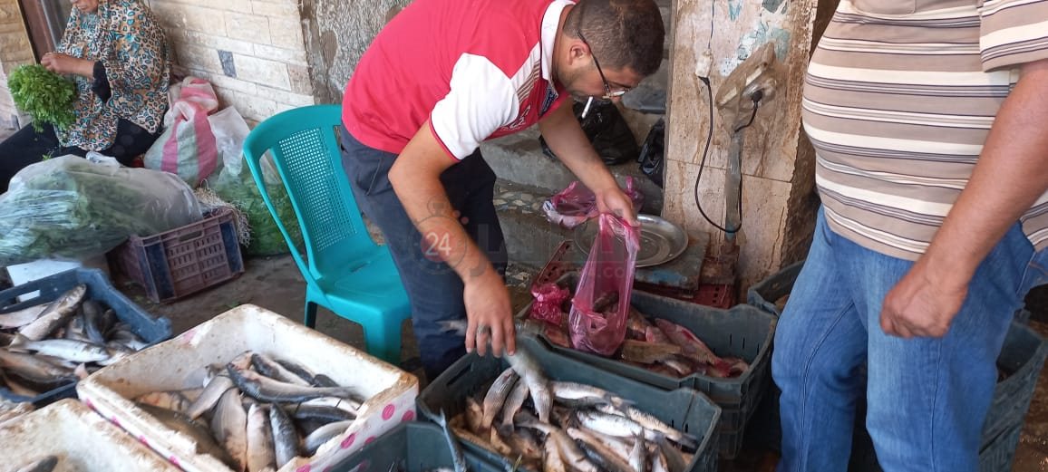 أسعار السمك