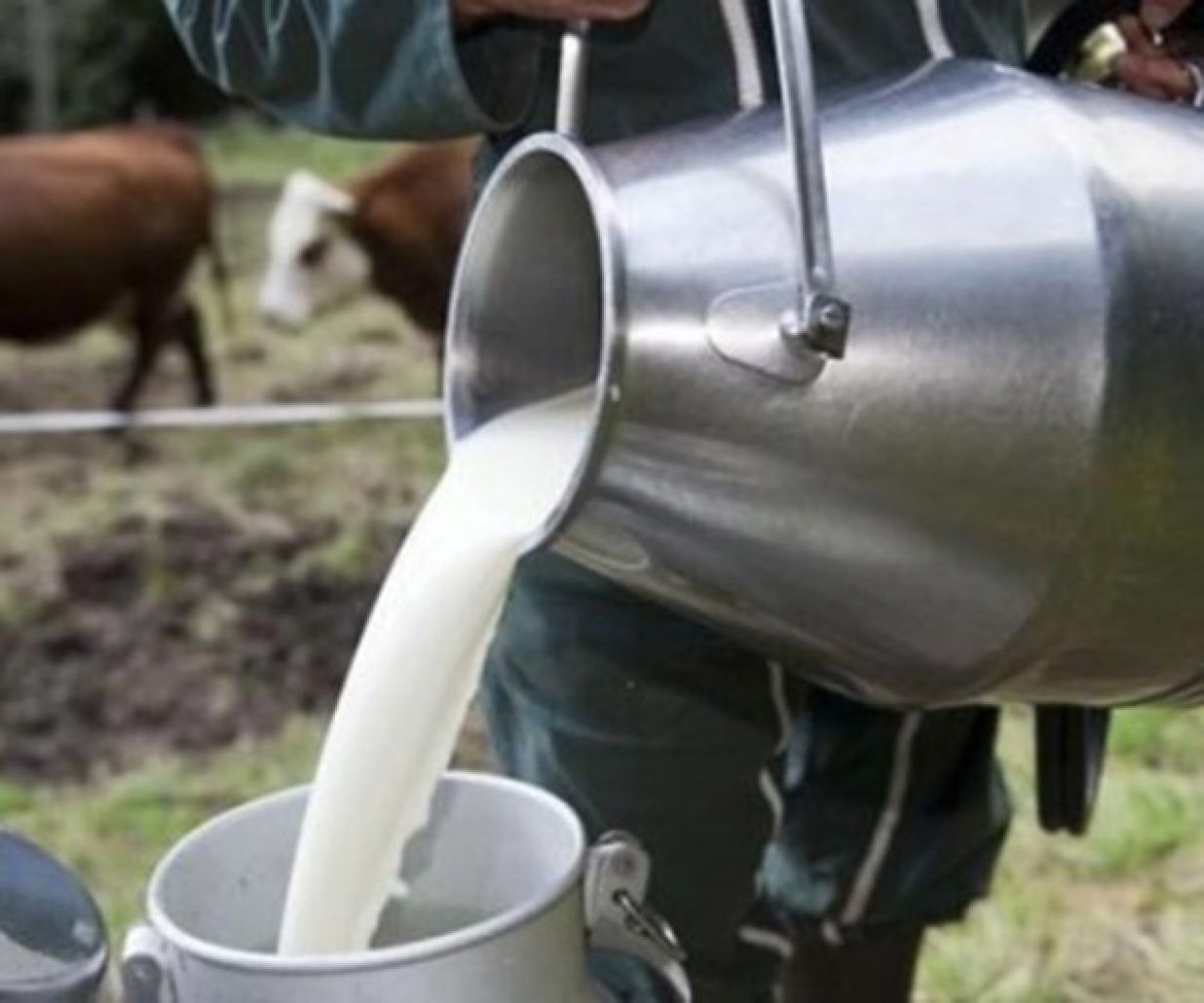 78f07fb2d7c79742d16f2e78d7150cd6