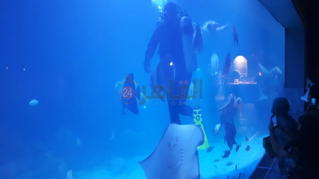 أكواريوم بالغردقة