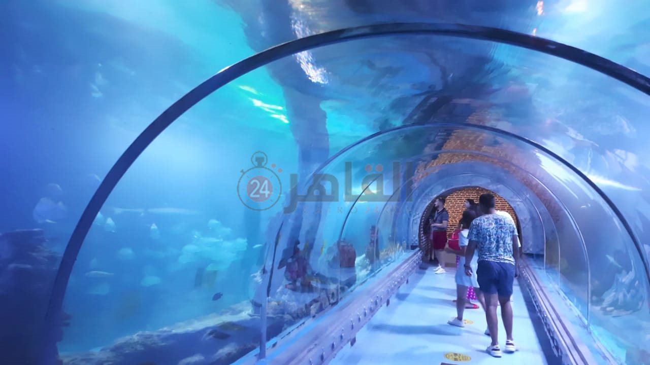 أكواريوم بالغردقة